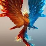 Henry Kumpfer Leal - @kumpferleal - Instagram