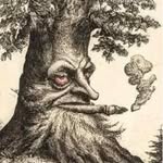 @henrykweedman - Instagram