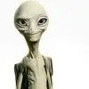 Henryweed - @henrykweed - TikTok