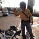 henry - @henrylabrador1368 - Instagram