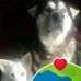 Henry Labrecque - Facebook