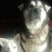 Henry LaBrecque - Facebook