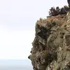 henrylafferty2 - @henrylafferty2 - TikTok