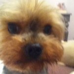@henrylaffertyx - Instagram