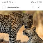 Henry Lombe - Facebook