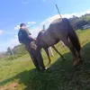 lampert - @henrylampert11 - TikTok