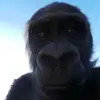 henrylanza27 - @henrylanza27 - TikTok