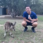 Henry Lao - @henrylao_ - Instagram
