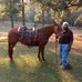 Henry Larkin - Facebook