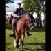 Henry Larkin - Facebook