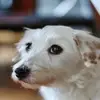 HenryLarkin - @jamesreedvskxli - TikTok