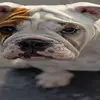 HenryLarkin - @user31845759008 - TikTok