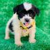 Henry Larson - Facebook