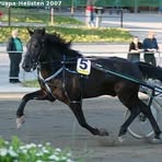 Henkka Lindgren - Facebook