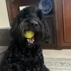 Finn - @finnhenrylorenz - TikTok