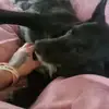 Henry Louis - @henry.louis07 - TikTok