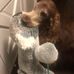 Henry Lovelace - Facebook