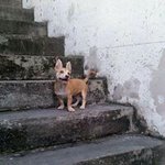Henry Lozada - @henrylozadadejesus - Instagram