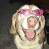 henryluster - @henry.luster - TikTok