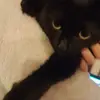 Harry Mansfield - @harry.mansfield1 - TikTok