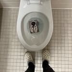 Henry mcbride - @toilet_day1 - Instagram