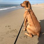 Henry mccann - @b.i.g_henry__ - Instagram