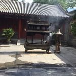 Henry McCann - @asian_medicine - Instagram