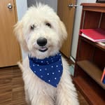 Henry McCord - @wonderful_world_of_henry - Instagram