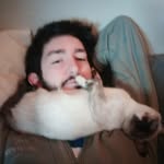 Henry McElroy-Fuchs - @henrymcfuchs - Instagram