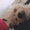 Henry - @henry_henry5 - TikTok