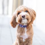 Henry - @henry_mchenry66 - Instagram