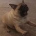Henry Mchugh - Facebook