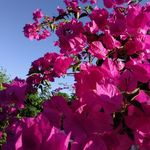 Henry Mcleod - @henry.mcleod.92 - Instagram