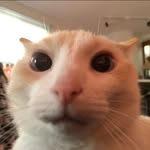 henry McManus - @water_melon_is_overrated17 - Instagram