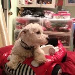 Henry McNulty - @henrymcnulty - Instagram