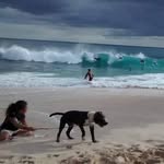 Henry McShane - @henry.mcshane.39 - Instagram