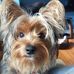 Henry Mctear - Facebook