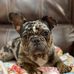 Henry Mctear - Facebook