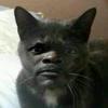 henrymears - @henrymears0 - TikTok