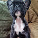 Jack Henry Mears II - @jack_ears - Instagram