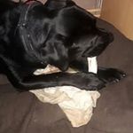 Andreas Henry Meier - @andreashenrymeier - Instagram