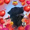 andreashenrymeier - @andreashenrymeier - TikTok