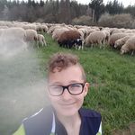 Henry Meier - @henrynator666 - Instagram