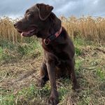 Henry Meier - @michaelmeier018 - Instagram