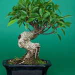 Henry Meier - @henry.meier.52 - Instagram