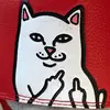 HenryM - @henrymeierbo - TikTok