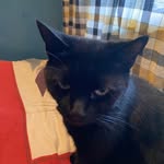 Henry Scott Mellor - @henxx246 - Instagram
