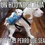 Henry Mendiola Ramos - @chinobiomedico - Instagram