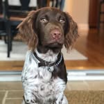 Henry Kennedy Mentzer - @henry_mentzer - Instagram