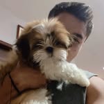 Henry Meredith - @henrymeredith77 - Instagram